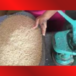 Arroz Web