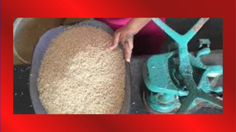 Arroz Web